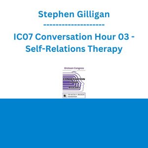 Stephen Gilligan - IC07 Conversation Hour 03 - Self-Relations Therapy