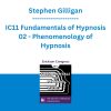 Stephen Gilligan - IC11 Fundamentals of Hypnosis 02 - Phenomenology of Hypnosis