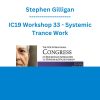 Stephen Gilligan - IC19 Workshop 33 - Systemic Trance Work