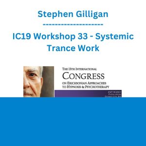 Stephen Gilligan - IC19 Workshop 33 - Systemic Trance Work