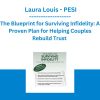 The Blueprint for Surviving Infidelity: A Proven Plan for Helping Couples Rebuild Trust - Laura Louis - PESI