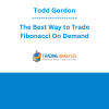 Todd Gordon - The Best Way to Trade Fibonacci On Demand