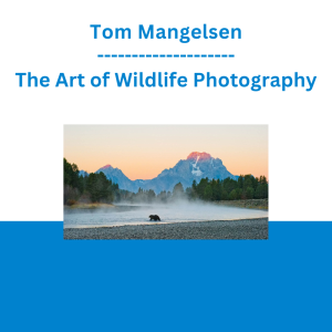 Tom Mangelsen - The Art of Wildlife Photography