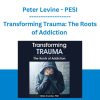 Transforming Trauma: The Roots of Addiction -Peter Levine - PESI