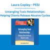 Untangling Toxic Relationships: Helping Clients Release Abusive Cycles - Laura Copley - PESI
