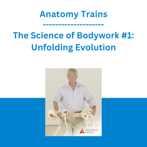 Anatomy Trains - The Science of Bodywork #1: Unfolding Evolution