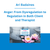 Ari Badaines - Anger: From Dysregulation to Regulation in Both Client and Therapist