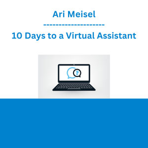 Ari Meisel - 10 Days to a Virtual Assistant