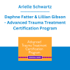 Arielle Schwartz, Daphne Fatter & Lillian Gibson - Advanced Trauma Treatment Certification Program