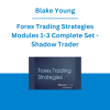 Blake Young - Forex Trading Strategies Modules 1-3 Complete Set - Shadow Trader