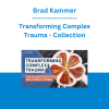 Brad Kammer - Transforming Complex Trauma - Collection