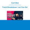 Carl Bee - Track Breakdown 'Let You Go'