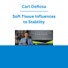 Carl DeRosa - Soft Tissue Influences to Stability: Muscle Slings & Fascial Networks of the Trunk and Hips