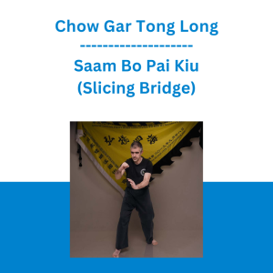 Chow Gar Tong Long - Saam Bo Pai Kiu (Slicing Bridge)