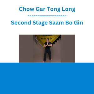 Chow Gar Tong Long - Second Stage Saam Bo Gin