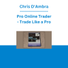 Chris D'Ambra - Pro Online Trader - Trade Like a Pro