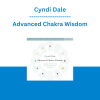 Cyndi Dale - Advanced Chakra Wisdom