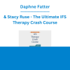 Daphne Fatter & Stacy Ruse - The Ultimate IFS Therapy Crash Course: Over 12 Must-Have Techniques for Trauma, Anxiety, Grief and More