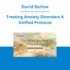 David Barlow - Treating Anxiety Disorders A Unified Protocol