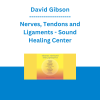 David Gibson - Nerves, Tendons and Ligaments - Sound Healing Center