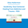 Elisa Hallerman - Soulbriety: Soul Centered Healing From Addiction and Trauma - PESI