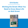 Erik Banks - Working the Street: What You Need to Know About Life on Wall Street