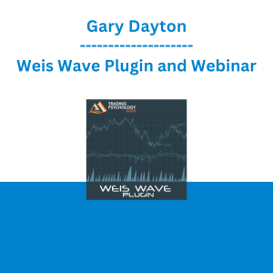 Gary Dayton - Weis Wave Plugin and Webinar