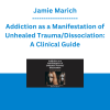 Jamie Marich - Addiction as a Manifestation of Unhealed Trauma/Dissociation: A Clinical Guide