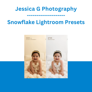 Jessica G Photography - Snowflake Lightroom Presets