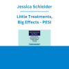 Jessica Schleider - Little Treatments, Big Effects: Single-Session Interventions That Create Lasting Change - PESI