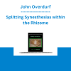 John Overdurf - Splitting Synesthesias within the Rhizome