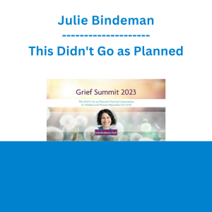 Julie Bindeman - This Didn't Go as Planned: Practical Approaches to Validate and Process Reproductive Grief