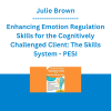 Julie Brown - Enhancing Emotion Regulation Skills for the Cognitively Challenged Client: The Skills System - PESI
