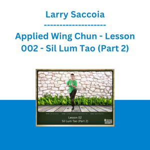 Larry Saccoia - Applied Wing Chun - Lesson 002 - Sil Lum Tao (Part 2)