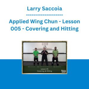 Larry Saccoia - Applied Wing Chun - Lesson 005 - Covering and Hitting