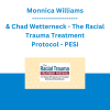 Monnica Williams & Chad Wetterneck - The Racial Trauma Treatment Protocol: A 12-Session CBT Approach for Therapists Working with Racial Wounds - PESI