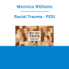 Monnica Williams - Racial Trauma: Assessment and Treatment Techniques for Trauma Rooted in Racism - PESI