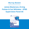 Murray Bowen, James Masterson, Erving Polster & Carl Whitaker - EP85 Supervision Panel 05