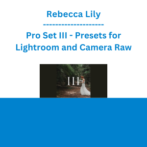 Rebecca Lily - Pro Set III - Presets for Lightroom and Camera Raw