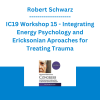 Robert Schwarz - IC19 Workshop 15 - Integrating Energy Psychology and Ericksonian Aproaches for Treating Trauma