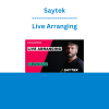 Saytek - Live Arranging