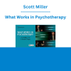 Scott Miller - What Works in Psychotherapy