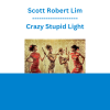 Scott Robert Lim - Crazy Stupid Light