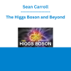 Sean Carroll - The Higgs Boson and Beyond
