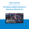 Sean Carroll - The Many Hidden Worlds of Quantum Mechanics
