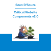 Sean D'Souza - Critical Website Components v2.0
