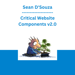 Sean D'Souza - Critical Website Components v2.0