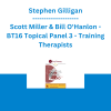 Stephen Gilligan, Scott Miller & Bill O'Hanlon - BT16 Topical Panel 3 - Training Therapists