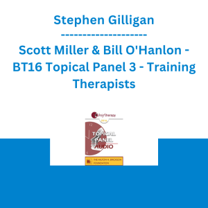 Stephen Gilligan, Scott Miller & Bill O'Hanlon - BT16 Topical Panel 3 - Training Therapists