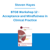 Steven Hayes - BT08 Workshop 12 - Acceptance and Mindfulness in Clinical Practice